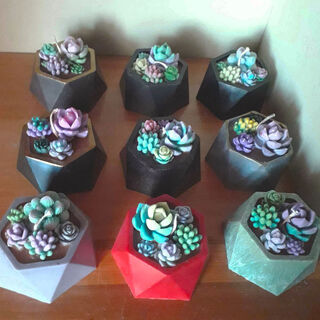 Succulent Plant Candles