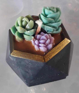 Dark Grey Pot Variety small
