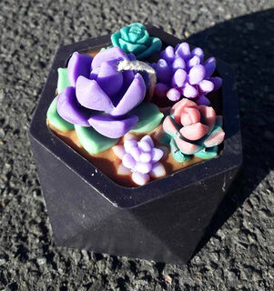 Black Pot Succulents Candle
